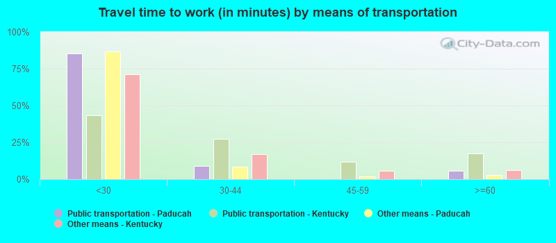 Travel time to work (in minutes) by means of transportation