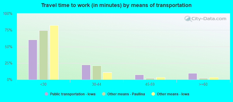 Travel time to work (in minutes) by means of transportation