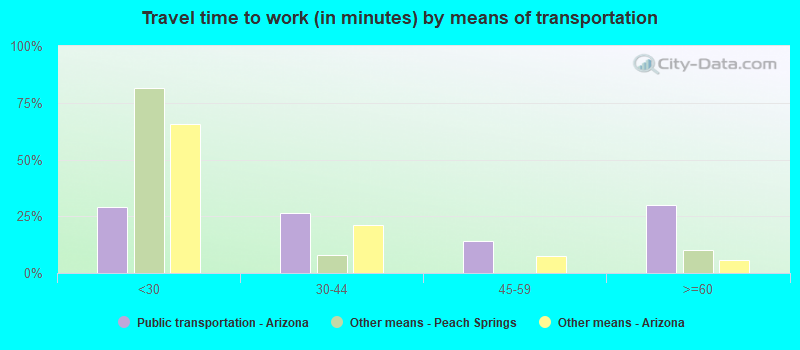 Travel time to work (in minutes) by means of transportation