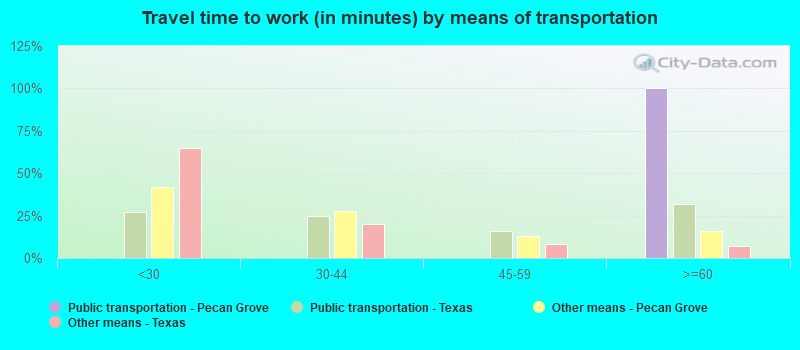 Travel time to work (in minutes) by means of transportation