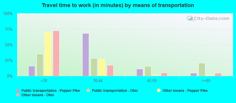 Travel time to work (in minutes) by means of transportation