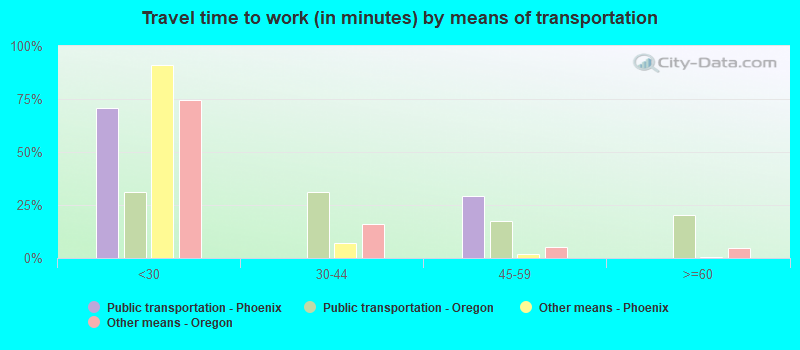 Travel time to work (in minutes) by means of transportation