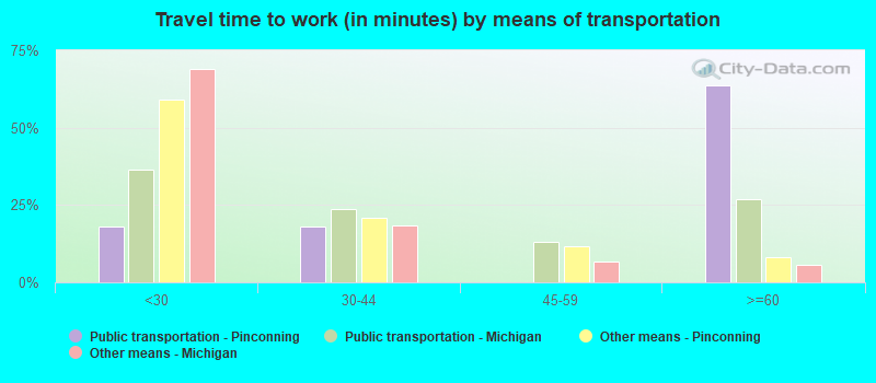 Travel time to work (in minutes) by means of transportation