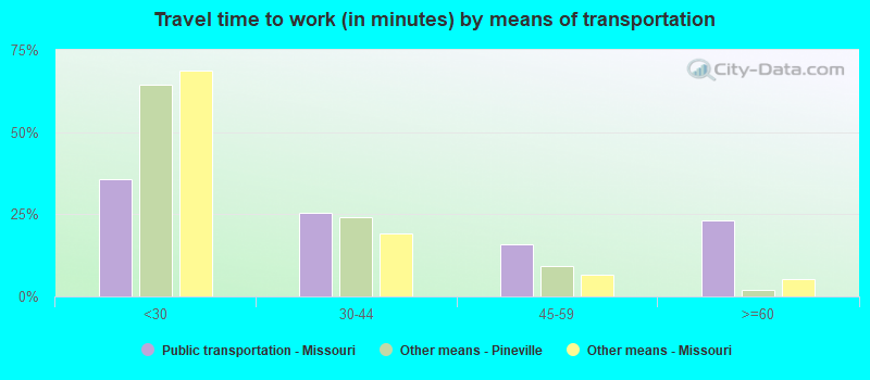 Travel time to work (in minutes) by means of transportation