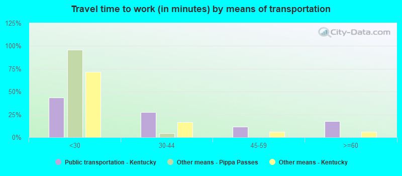 Travel time to work (in minutes) by means of transportation