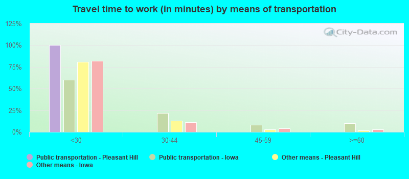 Travel time to work (in minutes) by means of transportation