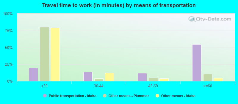 Travel time to work (in minutes) by means of transportation