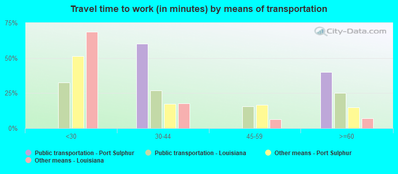 Travel time to work (in minutes) by means of transportation