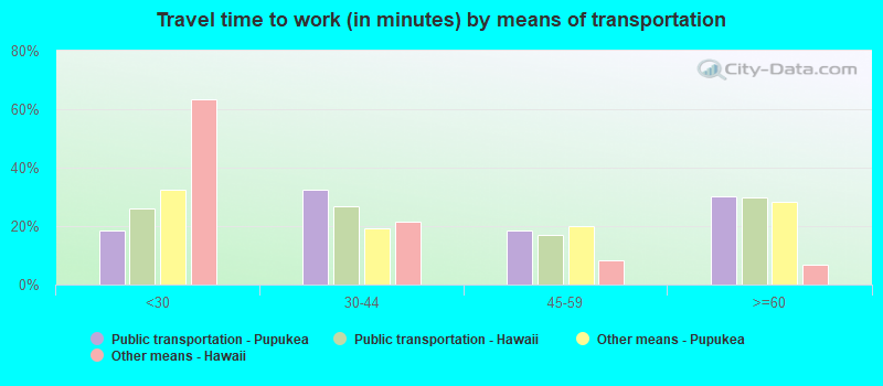 Travel time to work (in minutes) by means of transportation