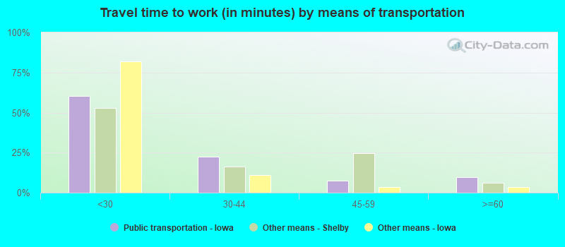 Travel time to work (in minutes) by means of transportation