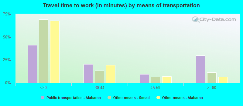 Travel time to work (in minutes) by means of transportation