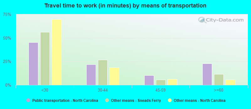 Travel time to work (in minutes) by means of transportation