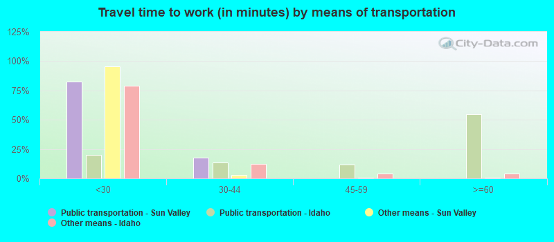 Travel time to work (in minutes) by means of transportation