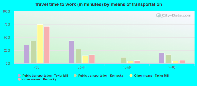 Travel time to work (in minutes) by means of transportation