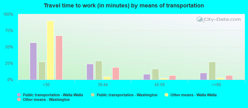 Travel time to work (in minutes) by means of transportation