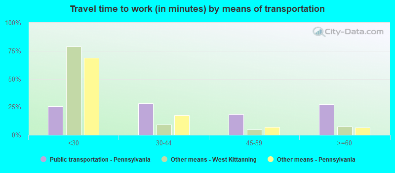 Travel time to work (in minutes) by means of transportation