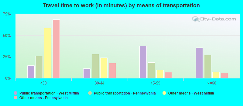 Travel time to work (in minutes) by means of transportation