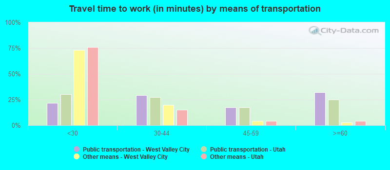 Travel time to work (in minutes) by means of transportation