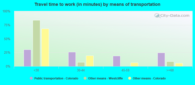 Travel time to work (in minutes) by means of transportation