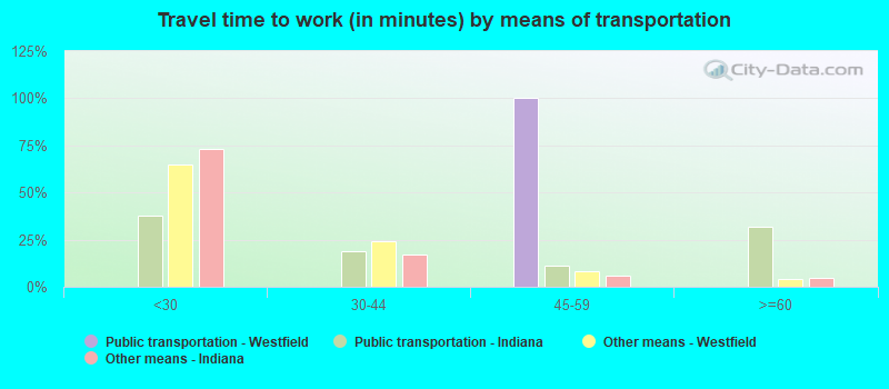 Travel time to work (in minutes) by means of transportation