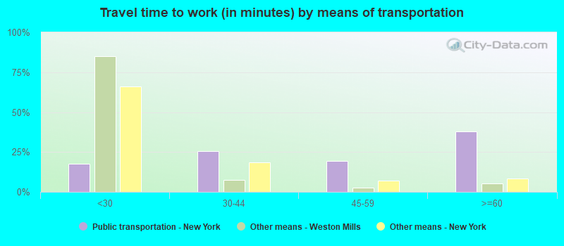 Travel time to work (in minutes) by means of transportation