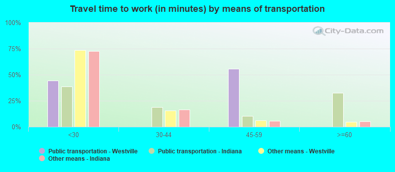 Travel time to work (in minutes) by means of transportation