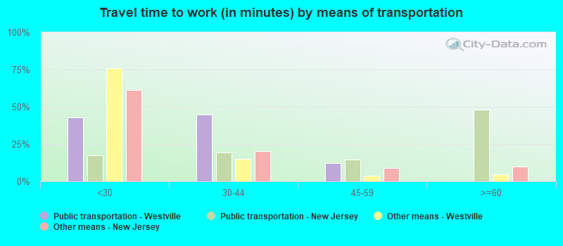 Travel time to work (in minutes) by means of transportation