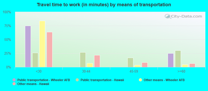 Travel time to work (in minutes) by means of transportation