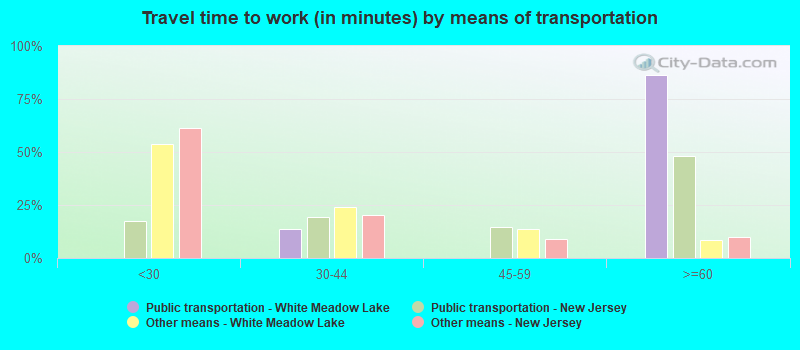 Travel time to work (in minutes) by means of transportation