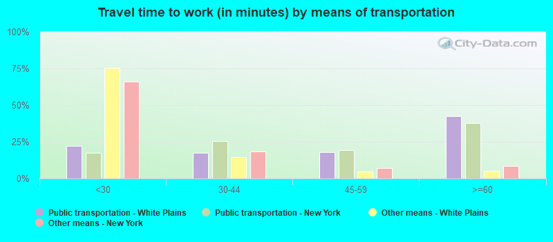 Travel time to work (in minutes) by means of transportation