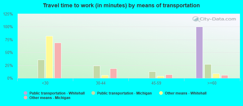 Travel time to work (in minutes) by means of transportation