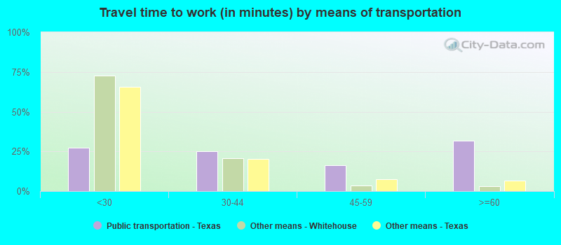 Travel time to work (in minutes) by means of transportation