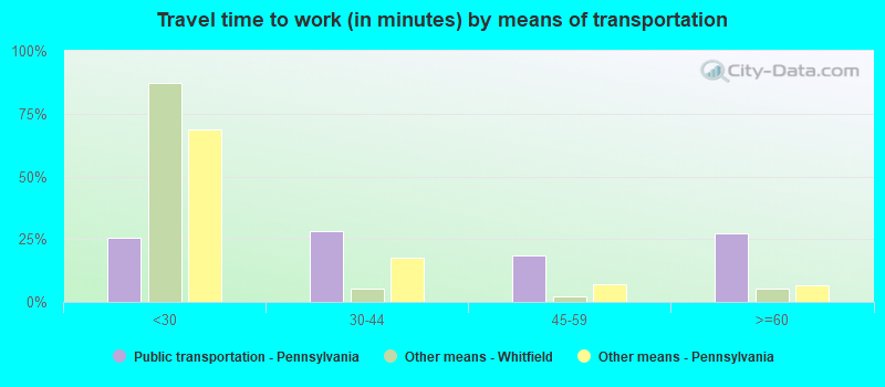 Travel time to work (in minutes) by means of transportation