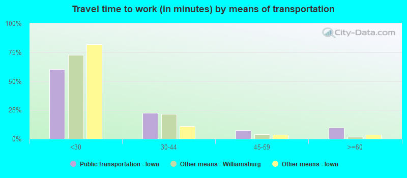 Travel time to work (in minutes) by means of transportation