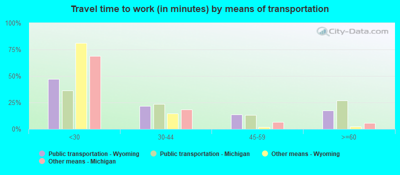 Travel time to work (in minutes) by means of transportation