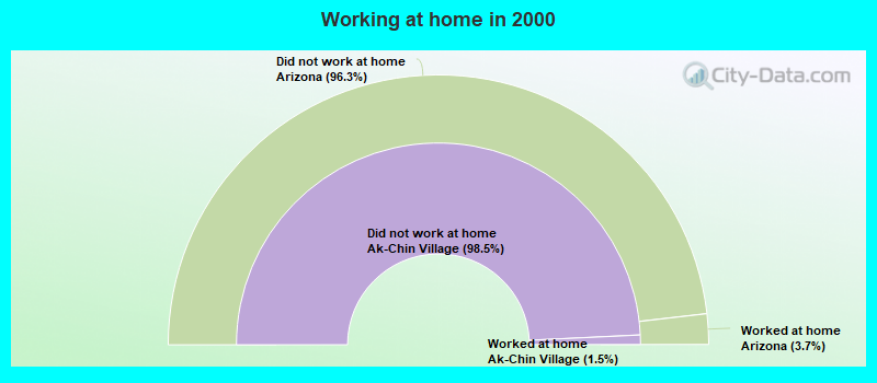 Working at home in 2000