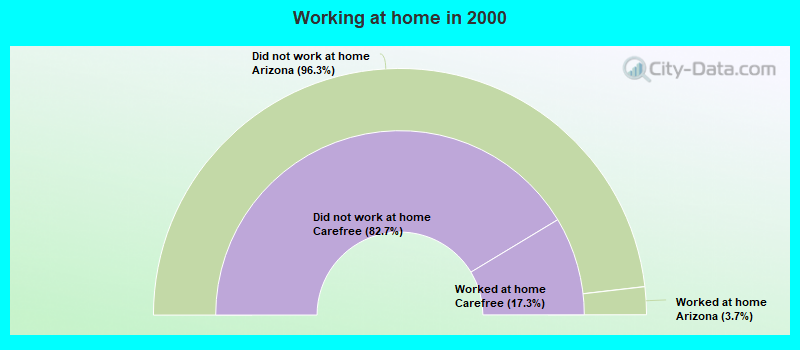 Working at home in 2000