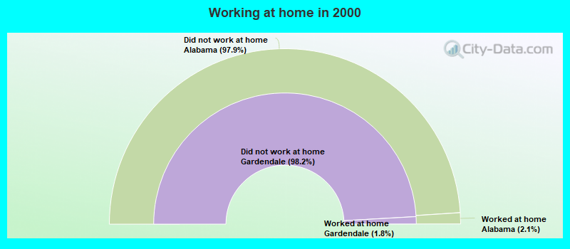 Working at home in 2000
