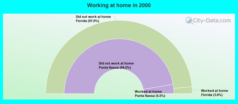 Working at home in 2000