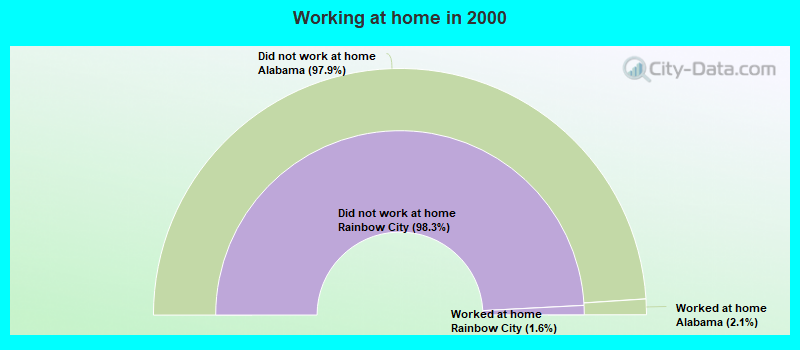 Working at home in 2000