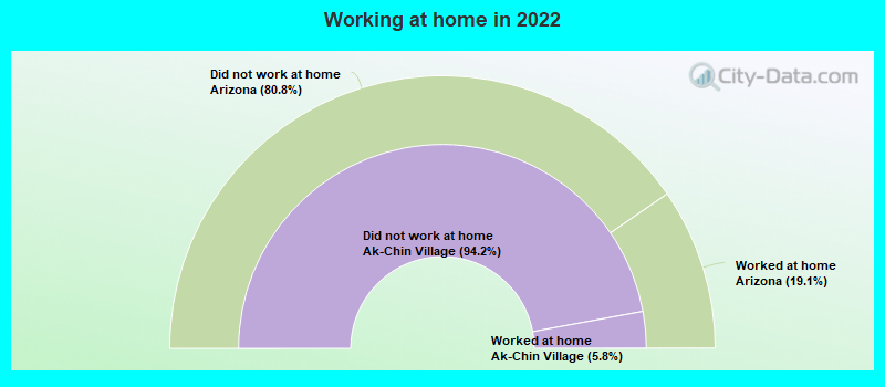 Working at home in 2022