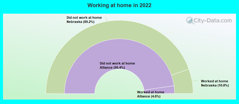 Working at home in 2022