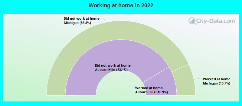 Working at home in 2022