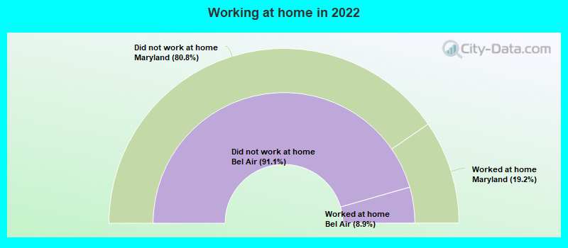 Working at home in 2022