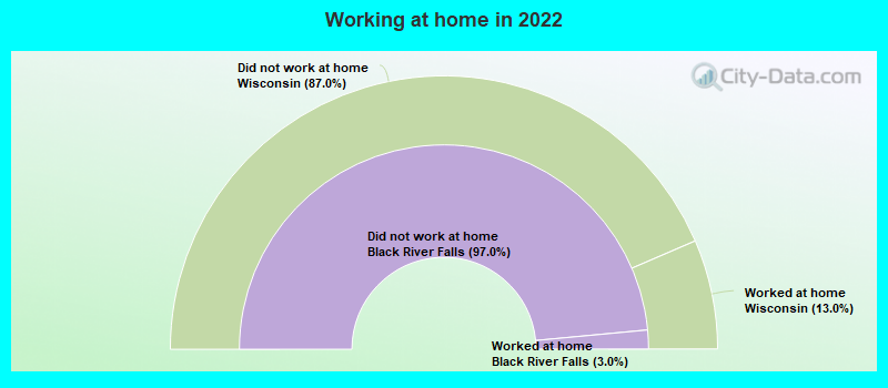 Working at home in 2022