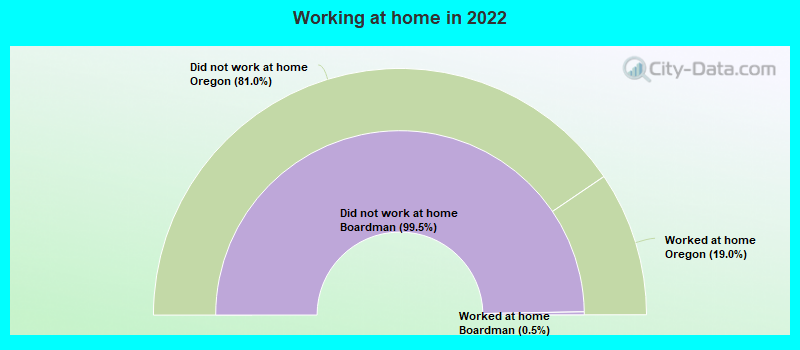 Working at home in 2022