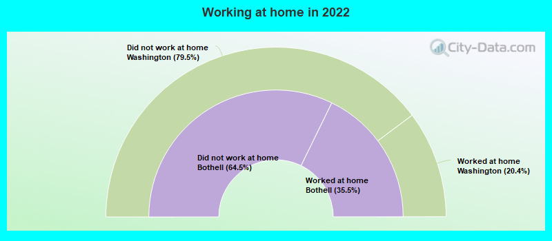 Working at home in 2022