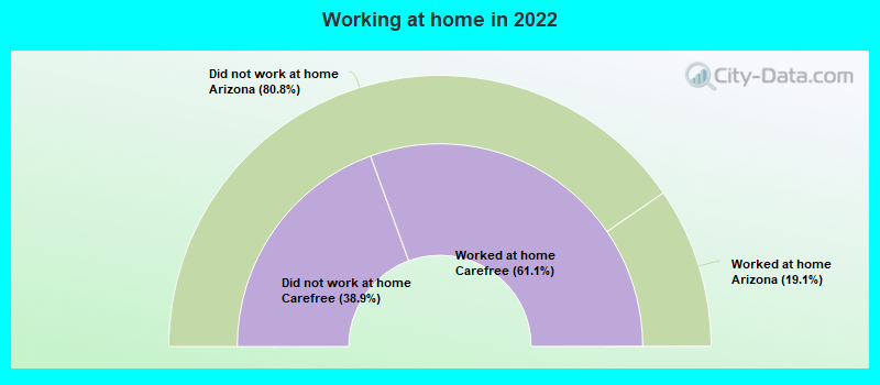 Working at home in 2022