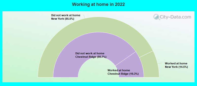 Working at home in 2022