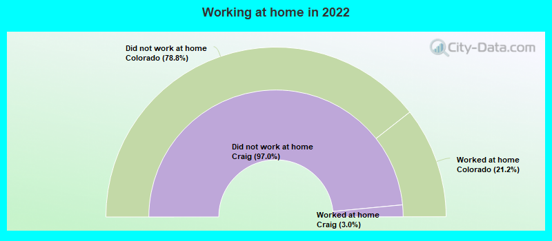 Working at home in 2022